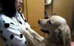 无套内谢少妇毛片A片